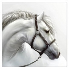White Horse Acrylic Wall Art Print Painting Hanging 80cm   332327356637